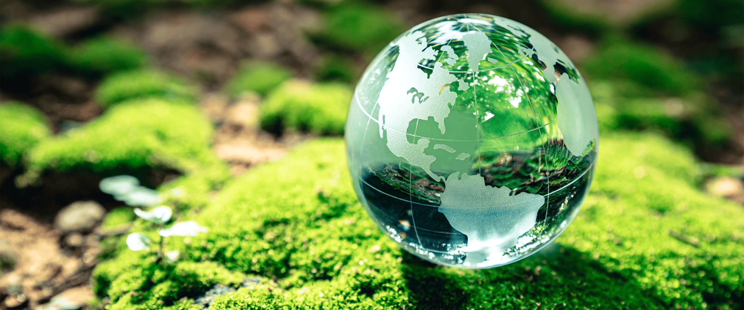 Sustainability at BES Engineering