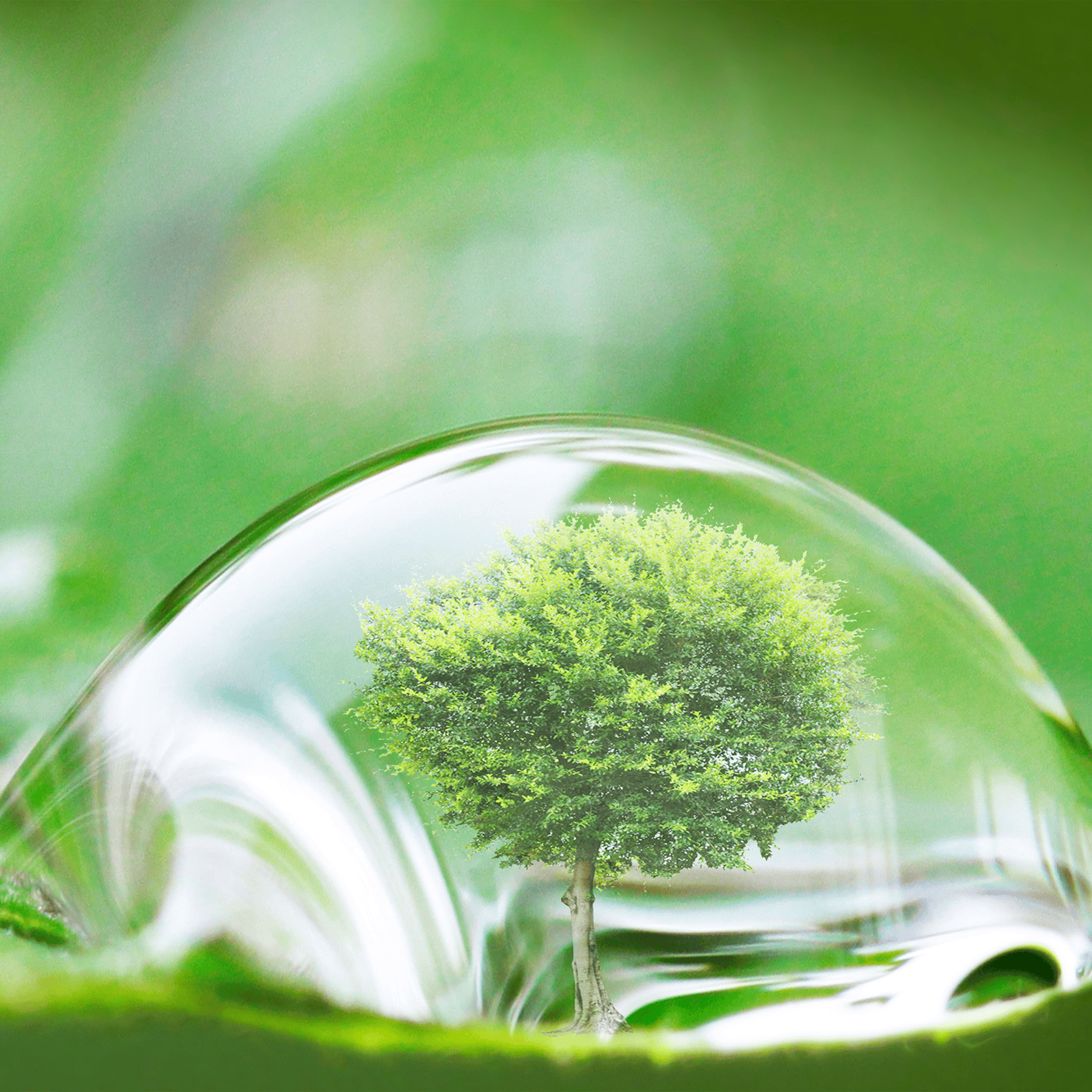 Sustainability Strategy | BES Engineering Corporation
